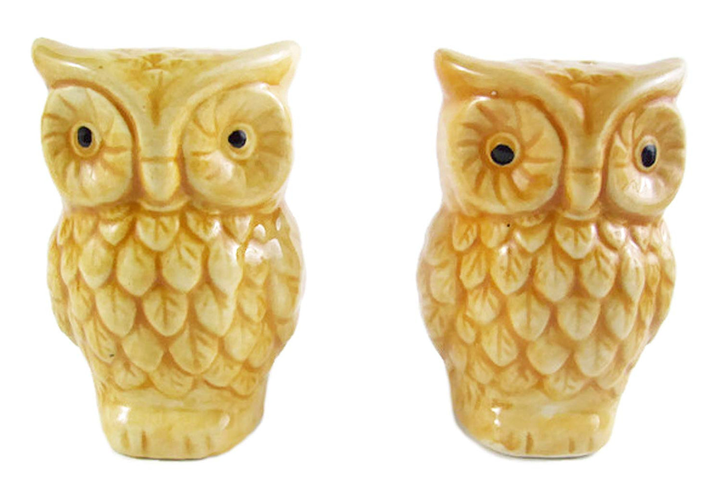 Salt and Pepper Shaker Set Pumpkin or Squirrel or Owl Festive Fall Decor